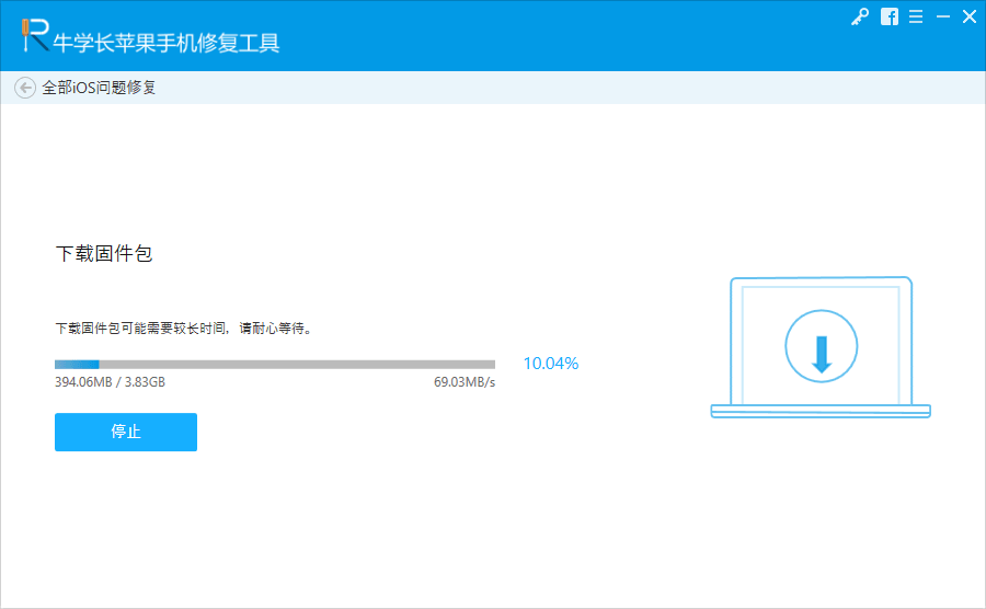 downloading process